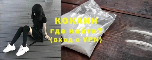 PSILOCYBIN Инта