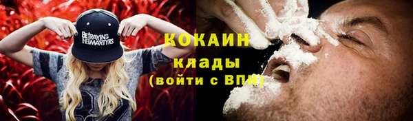 эйфоретик Иннополис