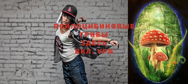 эйфоретик Иннополис