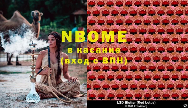 эйфоретик Иннополис