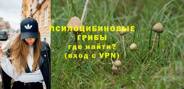 эйфоретик Иннополис