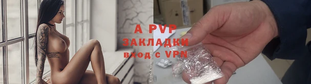 PSILOCYBIN Инта