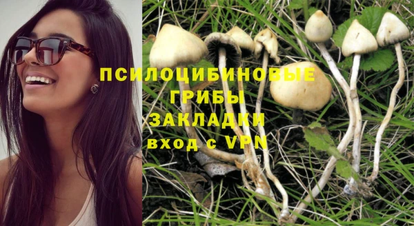 PSILOCYBIN Инта