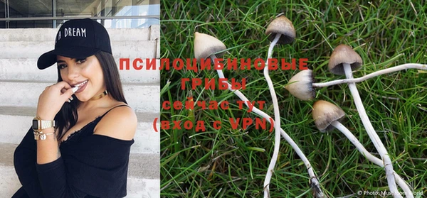 эйфоретик Иннополис