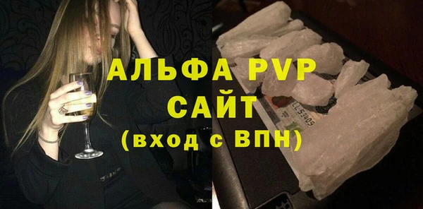 PSILOCYBIN Инта
