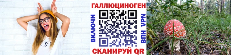 kraken ССЫЛКА Солнечногорск Галлюциногенные грибы прущие грибы