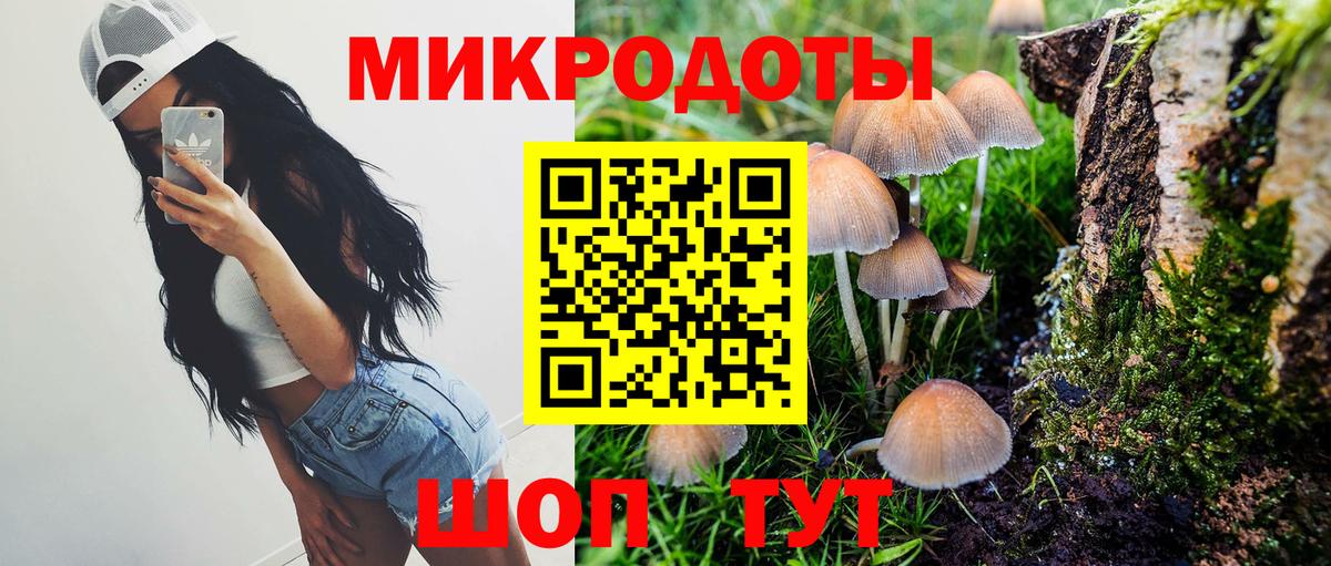 Галлюциногенные грибы мухоморы Солнечногорск