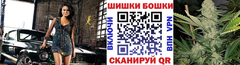 где купить наркотик  Солнечногорск  Бошки марихуана тримм 